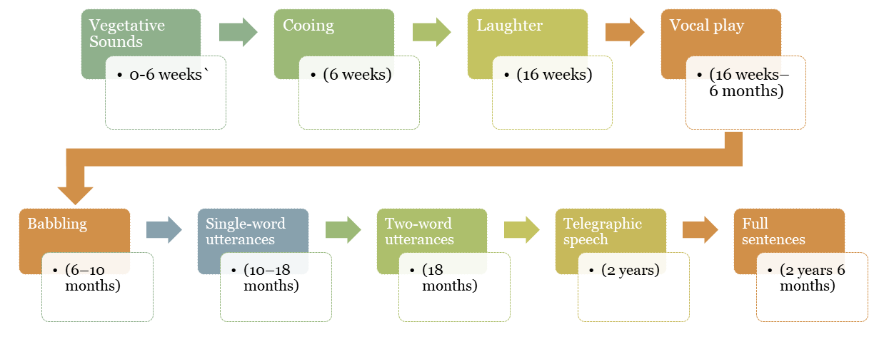 A timeline of language aquisition milstones over the first two years of a child's life. Described in previous paragraph.