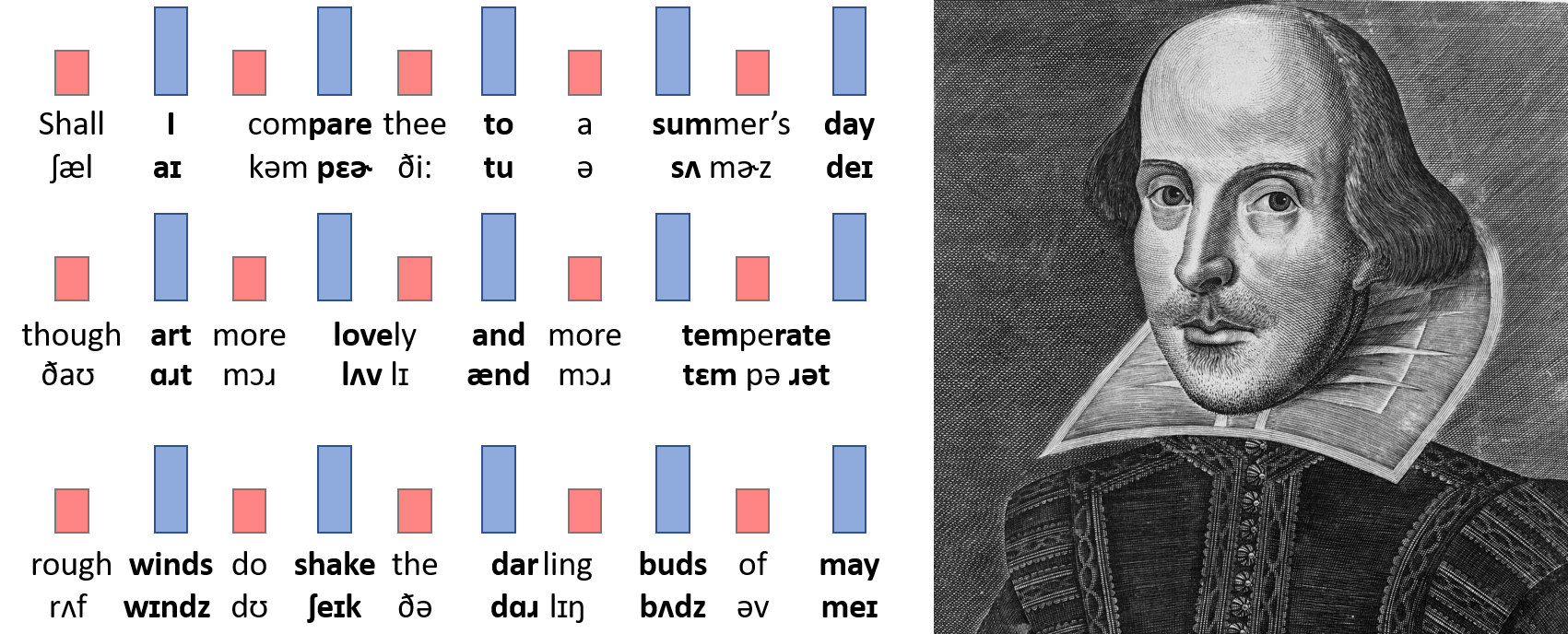 each iamb consisting of two syllables, within a well-known Shakespearian sonnet, illustrating the stress-timed natured of the English language.